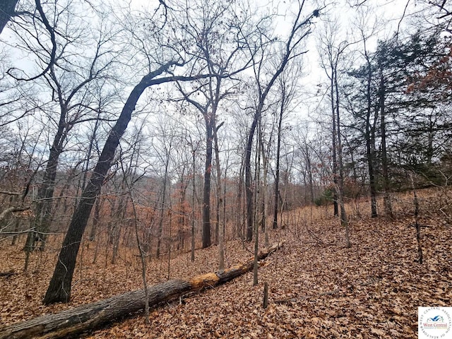 80/-ACRES Proctor Ln, Gravois Mills, MO 65037