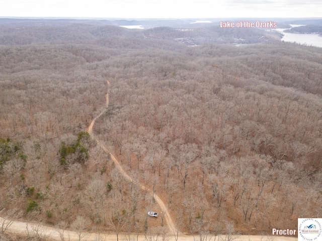 80/-ACRES Proctor Ln, Gravois Mills, MO 65037