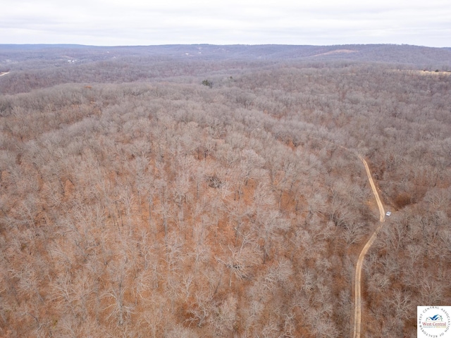 80/-ACRES Proctor Ln, Gravois Mills, MO 65037