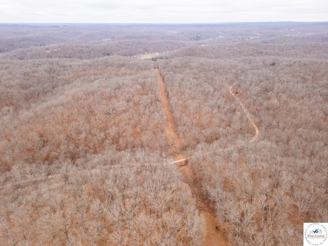 80/-ACRES Proctor Ln, Gravois Mills, MO 65037