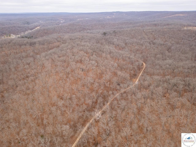 80/-ACRES Proctor Ln, Gravois Mills, MO 65037