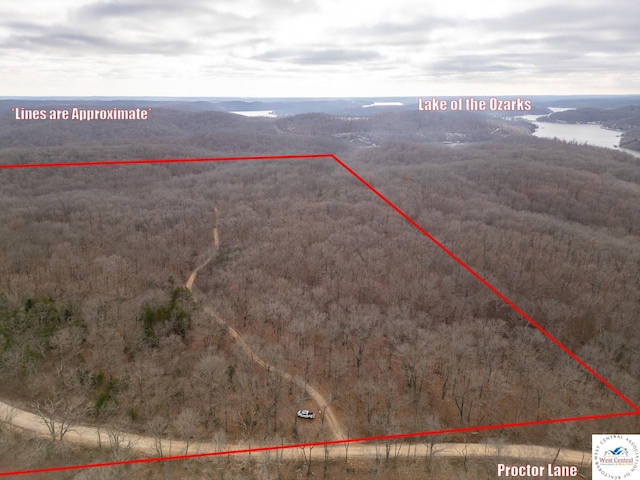 80/-ACRES Proctor Ln, Gravois Mills, MO 65037