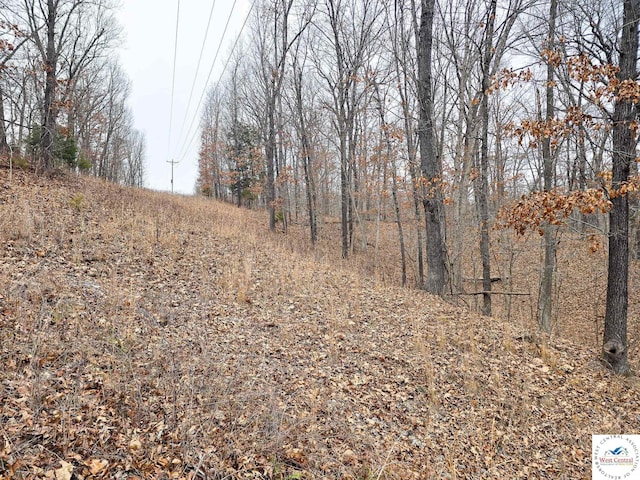 80/-ACRES Proctor Ln, Gravois Mills, MO 65037