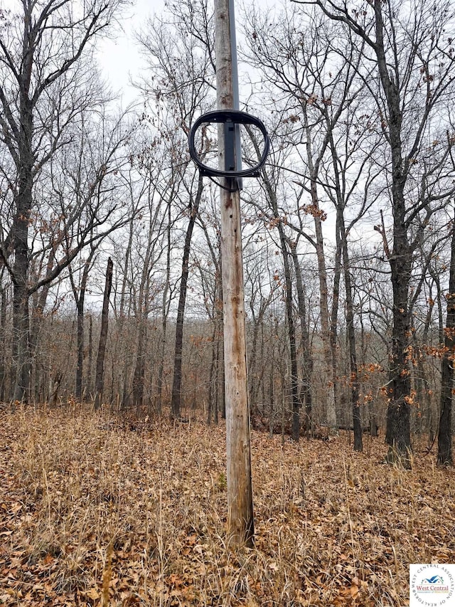 80/-ACRES Proctor Ln, Gravois Mills, MO 65037