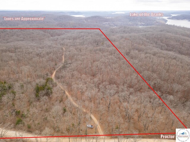 80/-ACRES Proctor Ln, Gravois Mills, MO 65037