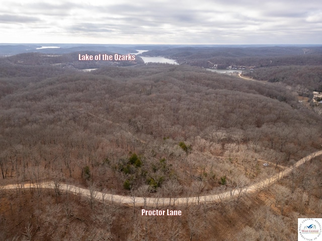 80/-ACRES Proctor Ln, Gravois Mills, MO 65037