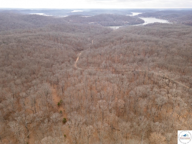 80/-ACRES Proctor Ln, Gravois Mills, MO 65037