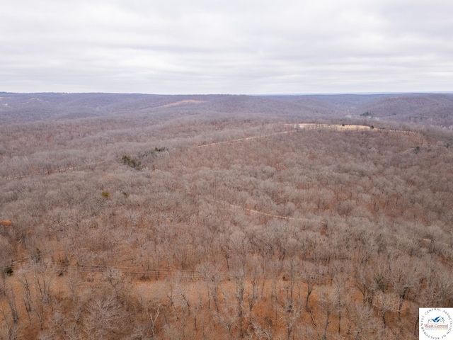 80/-ACRES Proctor Ln, Gravois Mills, MO 65037