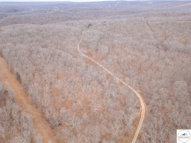 80/-ACRES Proctor Ln, Gravois Mills, MO 65037