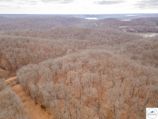 80/-ACRES Proctor Ln, Gravois Mills, MO 65037