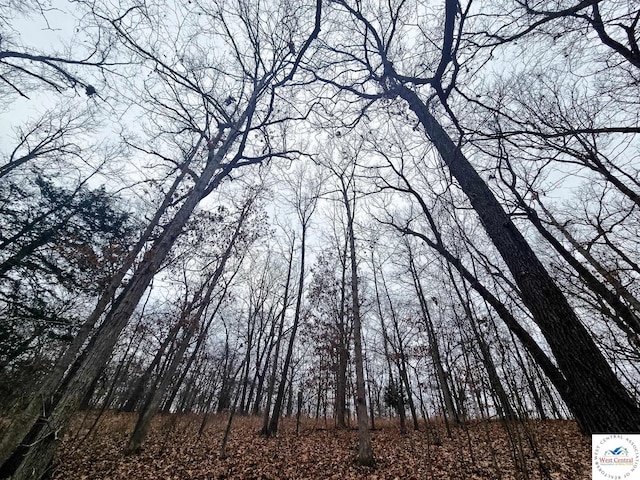 80/-ACRES Proctor Ln, Gravois Mills, MO 65037