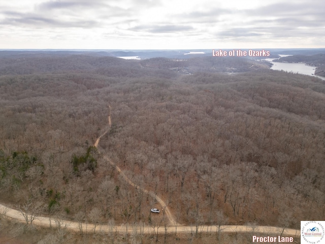 80/-ACRES Proctor Ln, Gravois Mills, MO 65037