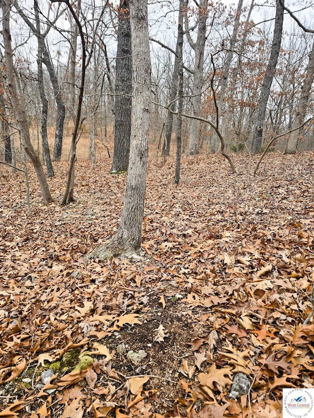 80/-ACRES Proctor Ln, Gravois Mills, MO 65037
