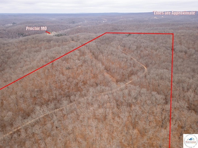 80/-ACRES Proctor Ln, Gravois Mills, MO 65037
