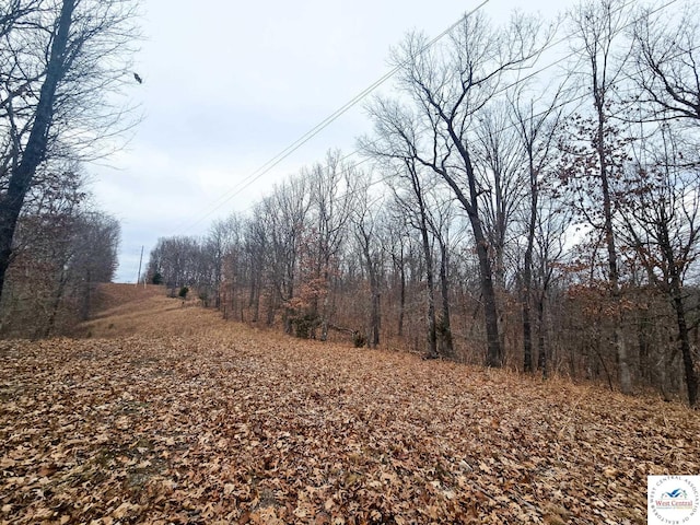 80/-ACRES Proctor Ln, Gravois Mills, MO 65037