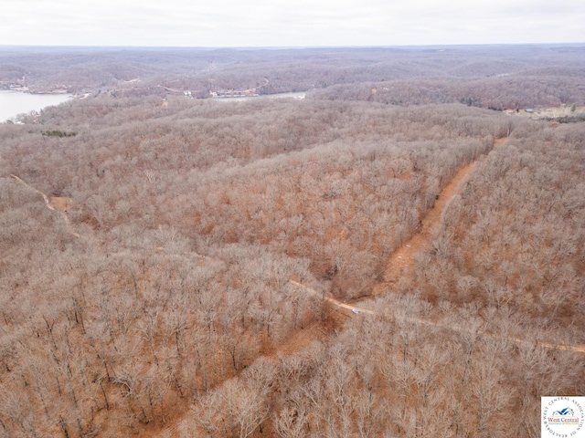 80/-ACRES Proctor Ln, Gravois Mills, MO 65037