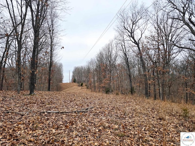 80/-ACRES Proctor Ln, Gravois Mills, MO 65037