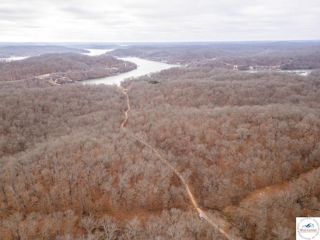80/-ACRES Proctor Ln, Gravois Mills, MO 65037
