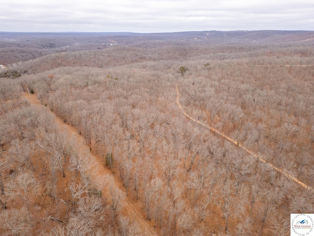 80/-ACRES Proctor Ln, Gravois Mills, MO 65037