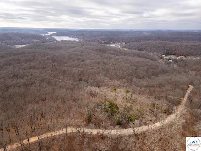 80/-ACRES Proctor Ln, Gravois Mills, MO 65037