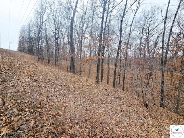 80/-ACRES Proctor Ln, Gravois Mills, MO 65037