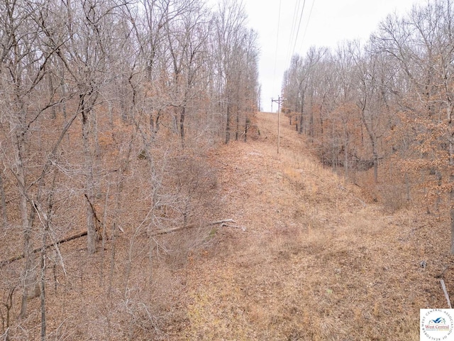 80/-ACRES Proctor Ln, Gravois Mills, MO 65037
