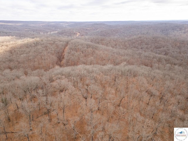 80/-ACRES Proctor Ln, Gravois Mills, MO 65037