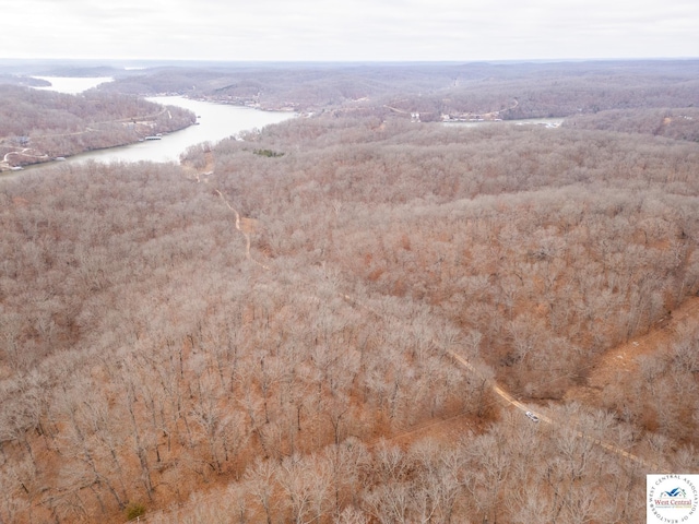 80/-ACRES Proctor Ln, Gravois Mills, MO 65037