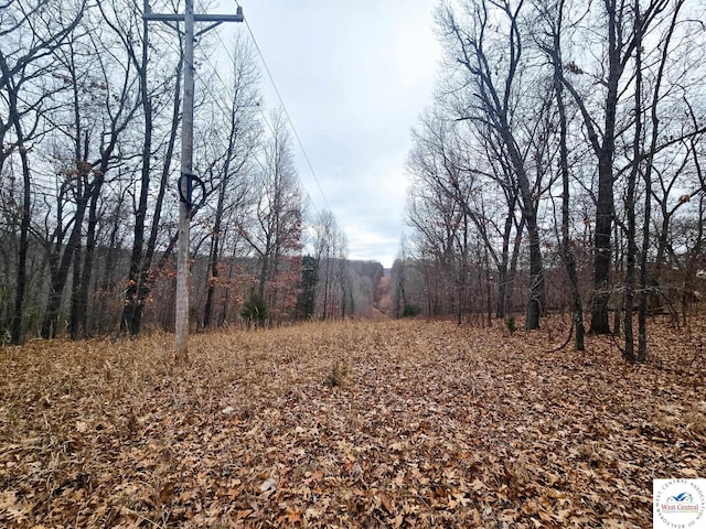 80/-ACRES Proctor Ln, Gravois Mills, MO 65037
