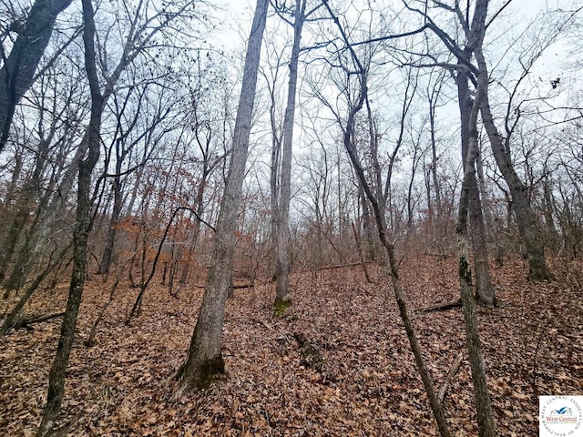 80/-ACRES Proctor Ln, Gravois Mills, MO 65037