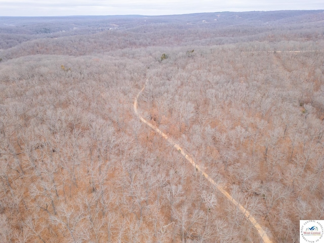 80/-ACRES Proctor Ln, Gravois Mills, MO 65037