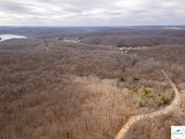 80/-ACRES Proctor Ln, Gravois Mills, MO 65037