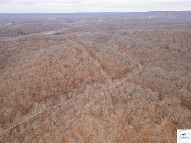 80/-ACRES Proctor Ln, Gravois Mills, MO 65037