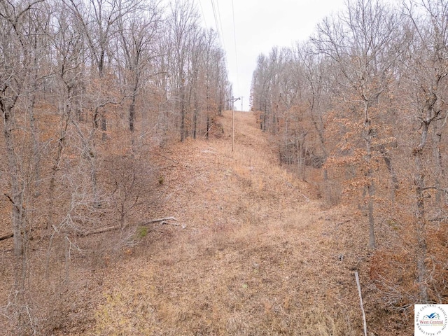 80/-ACRES Proctor Ln, Gravois Mills, MO 65037