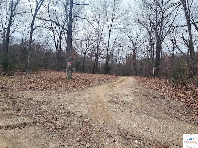 80/-ACRES Proctor Ln, Gravois Mills, MO 65037