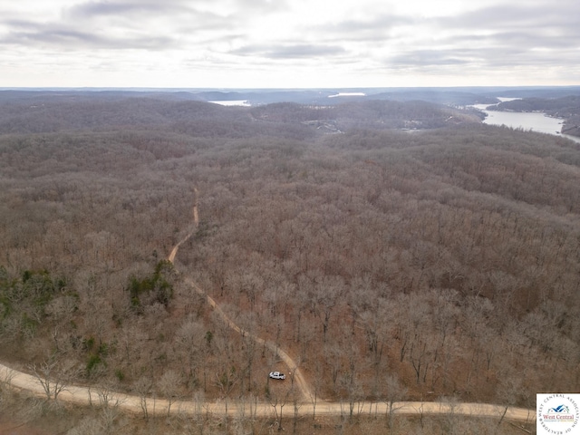 80/-ACRES Proctor Ln, Gravois Mills, MO 65037