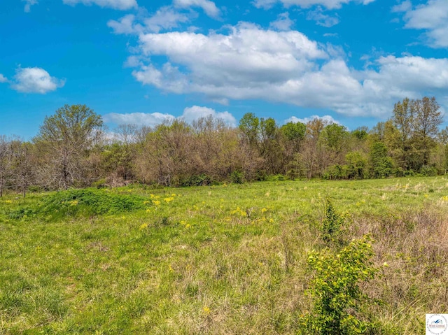 Sacajawea Rd, Sedalia, MO 65301 - photo 1