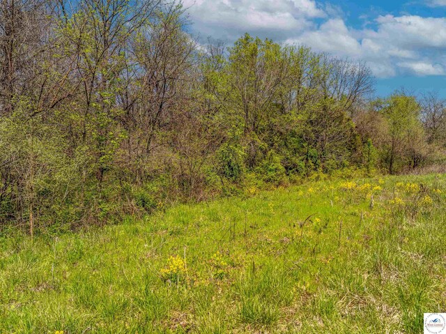Sacajawea Rd, Sedalia, MO 65301 - photo 52