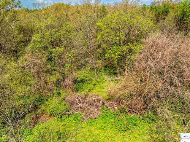 Sacajawea Rd, Sedalia, MO 65301 - photo 30
