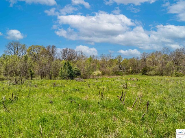 Sacajawea Rd, Sedalia, MO 65301 - photo 48