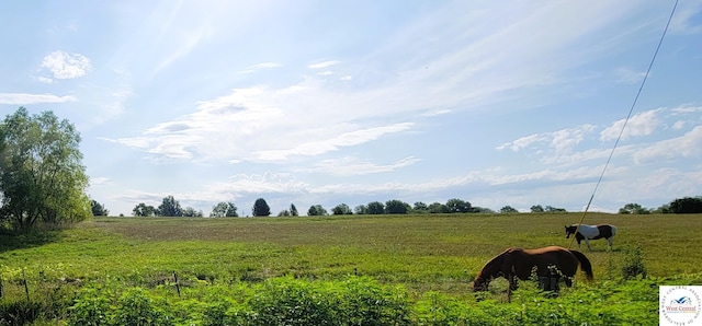 TBD NW 1151st Rd, Centerview, MO 64019 - photo 2
