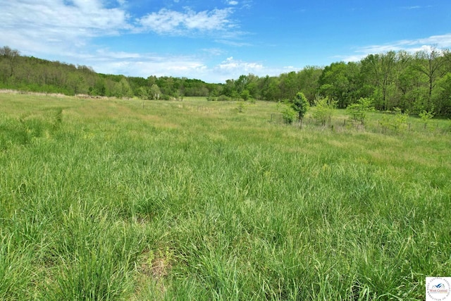 TBD4ACRES/- J Hwy, Hughesville, MO 65334