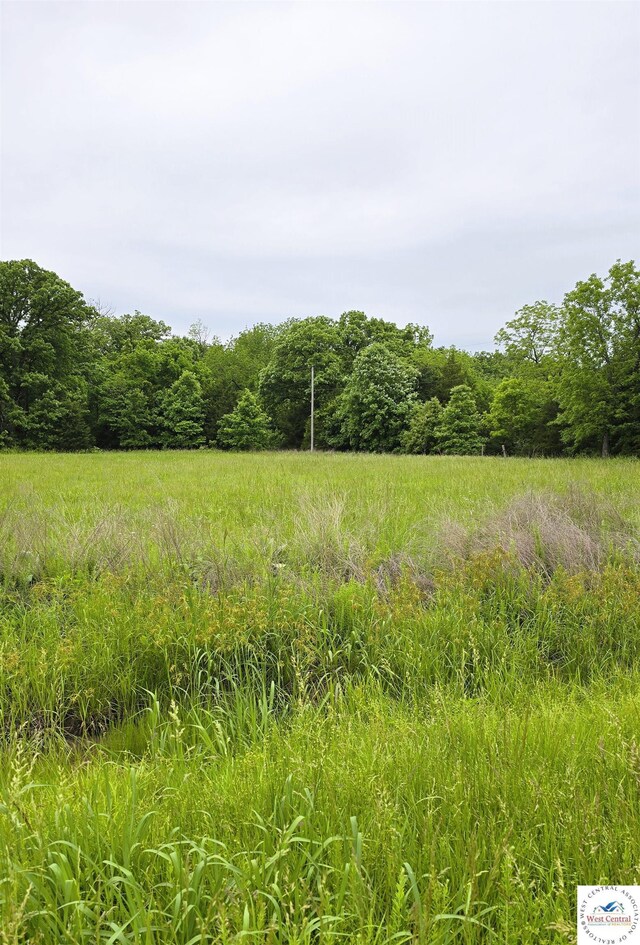 LOT3517 Forbes Rd, Edwards, MO 65326 - photo 4