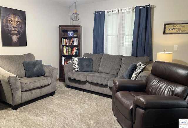 1721 S Lamine Ave, Sedalia, MO 65301 - photo 14
