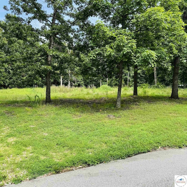 LOT16 Boring Ave, Warsaw, MO 65355 - photo 4