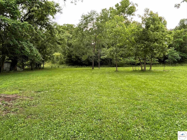 1511 Polk St, Warsaw, MO 65355 - view of grassy yard