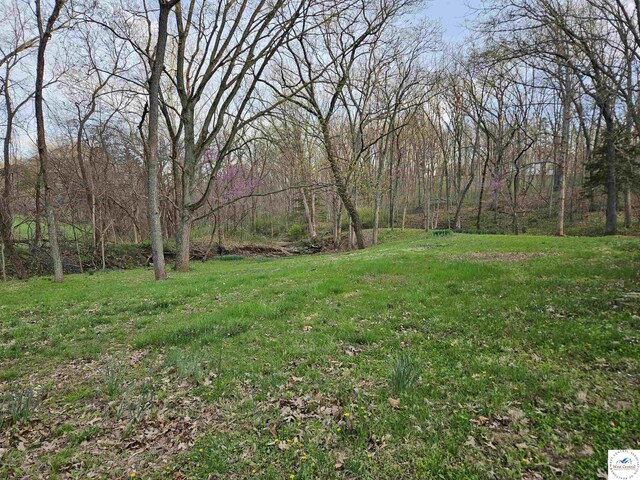 17520 Daisy Rd, Hughesville, MO 65334 - photo 53