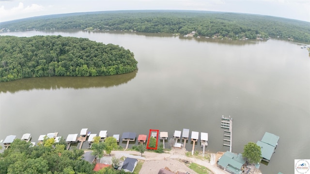 29193 Roundhouse Ave, Lincoln, MO 65338 - drone / aerial view of a large body of water