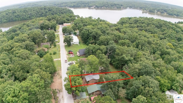 29193 Roundhouse Ave, Lincoln, MO 65338 - view of property location with a nearby body of water and property parcel outlined