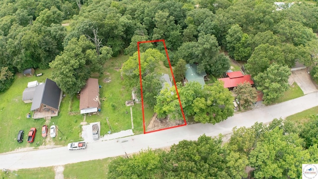 29193 Roundhouse Ave, Lincoln, MO 65338 - view of property location featuring property boundaries highlighted and a forest
